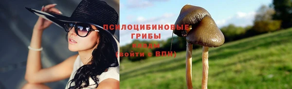 ALPHA PVP Киренск