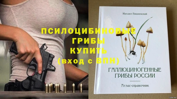 ALPHA PVP Киренск