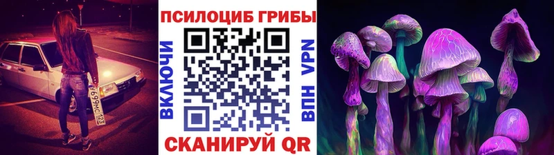 Купить где  Навашино  Галлюциногенные грибы мухоморы 